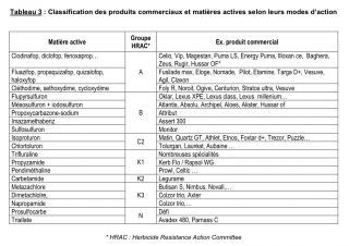 Cliquer sur l'image pour l'agrandir